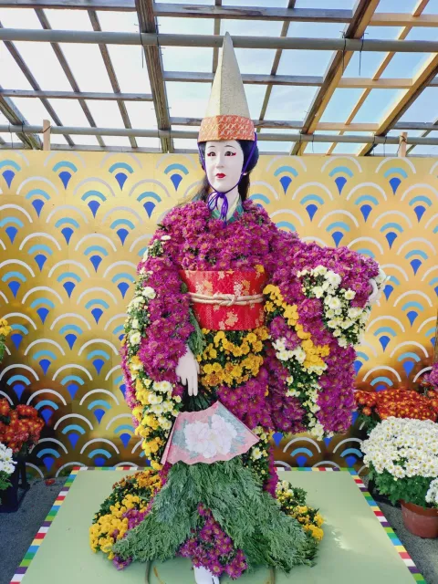 南陽の菊まつり(花公園会場)の公式掲載画像