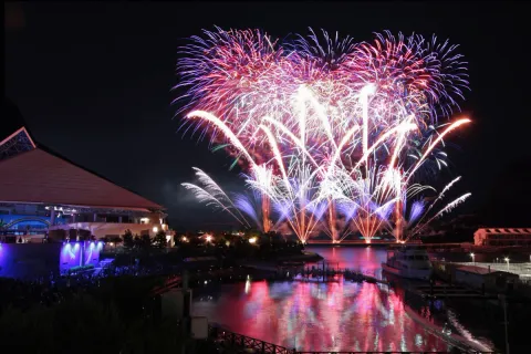 横浜・八景島シーパラダイス「花火シンフォニア」2026の公式掲載画像