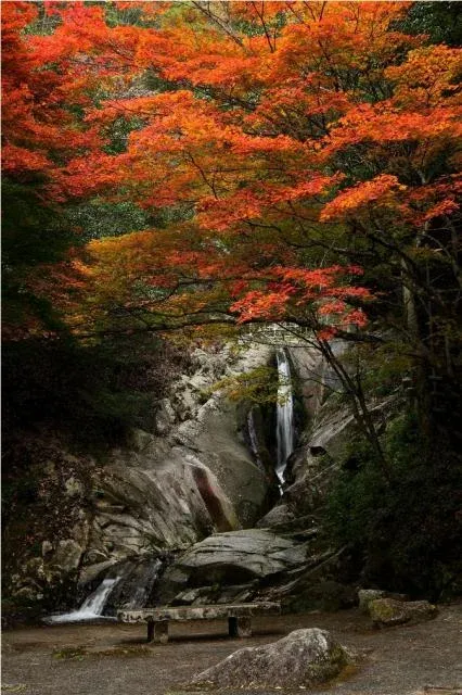 三郎の滝紅葉まつりの公式掲載画像