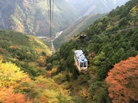 紅葉の山あいを進むロープウェイ