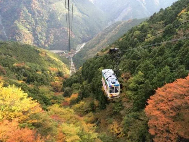 紅葉の山あいを進むロープウェイ