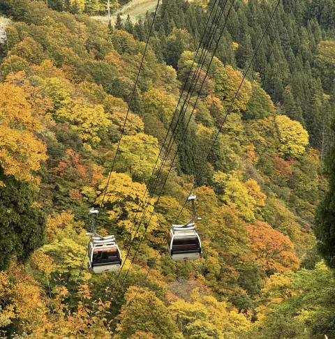 紅葉した山々を望むゴンドラ