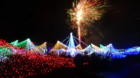 クリスマスファンタジーナイトinかのやばら園の公式掲載画像