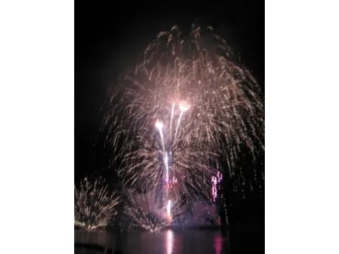 夜空に広がる花火