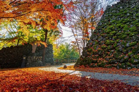 小諸城址 懐古園の紅葉