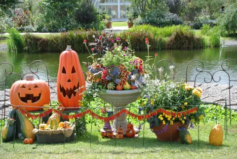 池辺に飾られたハロウィン装飾