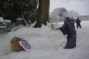 綱引神事の公式掲載画像