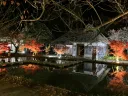 2025年のライトアップ参考写真。古民家とハス池付近の夜景。