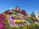 南陽の菊まつり(花公園会場)の公式掲載画像