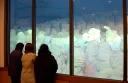 樹氷ライトアップ3