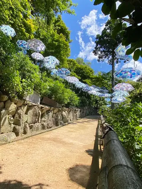 3834 楊谷寺.jpg
