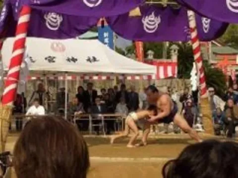 相撲の取組の様子(写真)