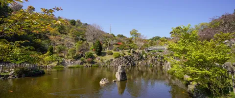 冠山総合公園 トップ画像