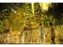 イルミネーションに包まれた会場の様子
