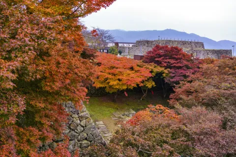 【2026年】津山城もみじまつりの公式掲載画像