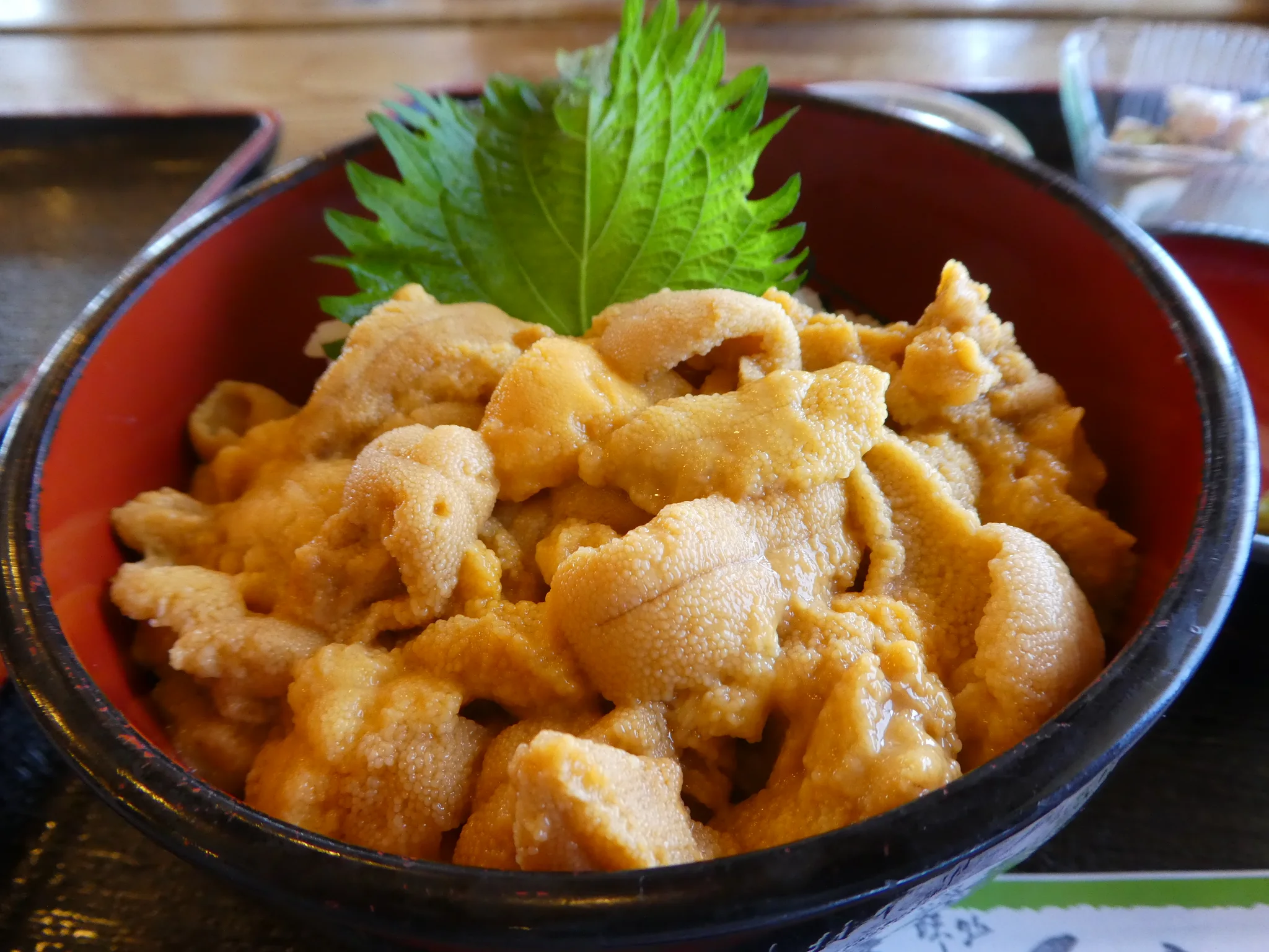Golden bowl of fresh natural sea urchin harvested from cold coastal waters near Otaru Hokkaido