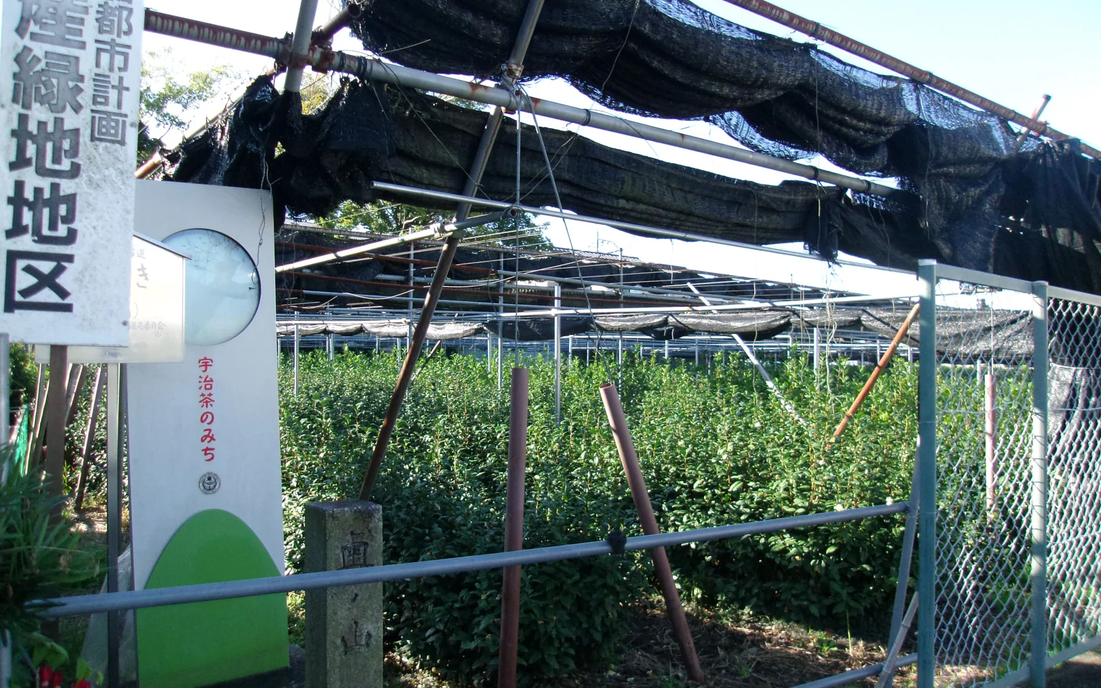 Historic Okunoyama tea garden in Uji Kyoto with shaded canopies overlooking green river hills