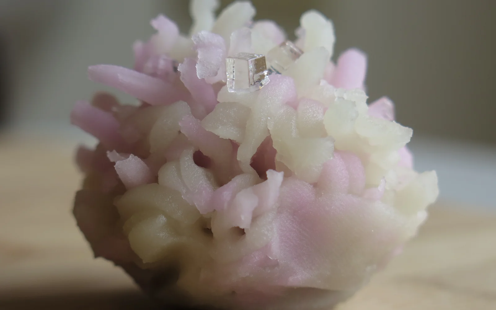 Exquisite modern Nerikiri wagashi showcasing artisanal sculpting and contemporary tea salon aesthetics